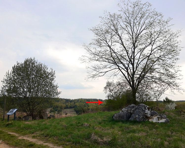 Niegowa