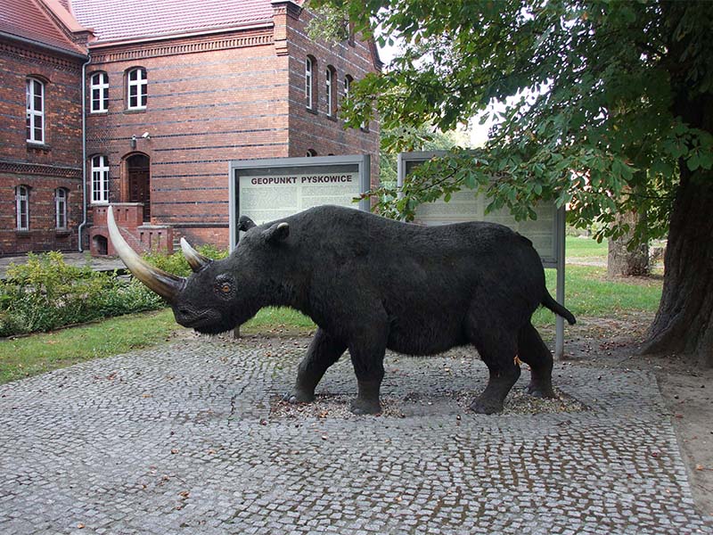 Makieta nosorożca włochatego