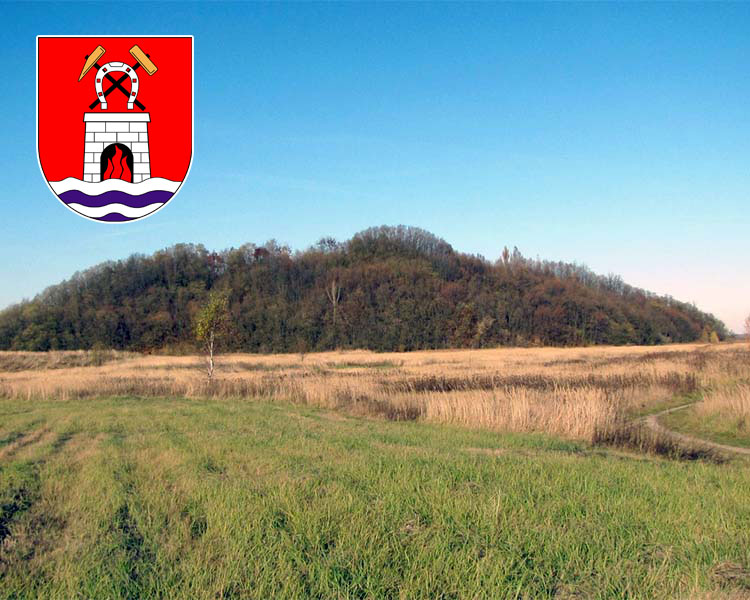 Częstochowski Obszar Rudonośny