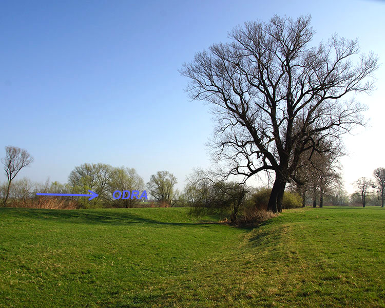 Kuźnia Raciborska