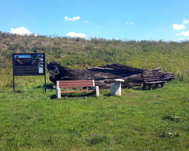 Dolina górnej Odry