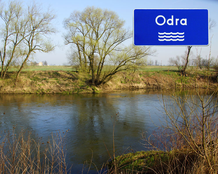 Odra