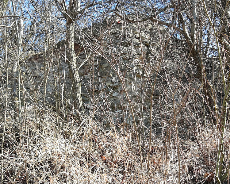Dąbrowa Górnicza