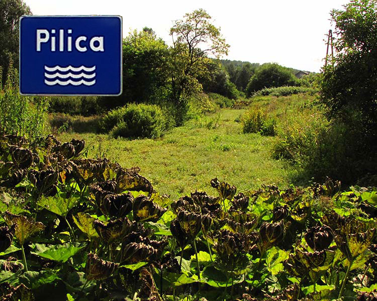 Pilica