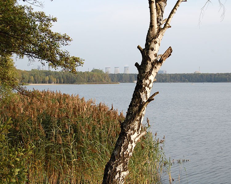 Dąbrowa Górnicza
