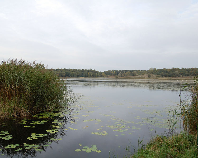 Dąbrowa Górnicza