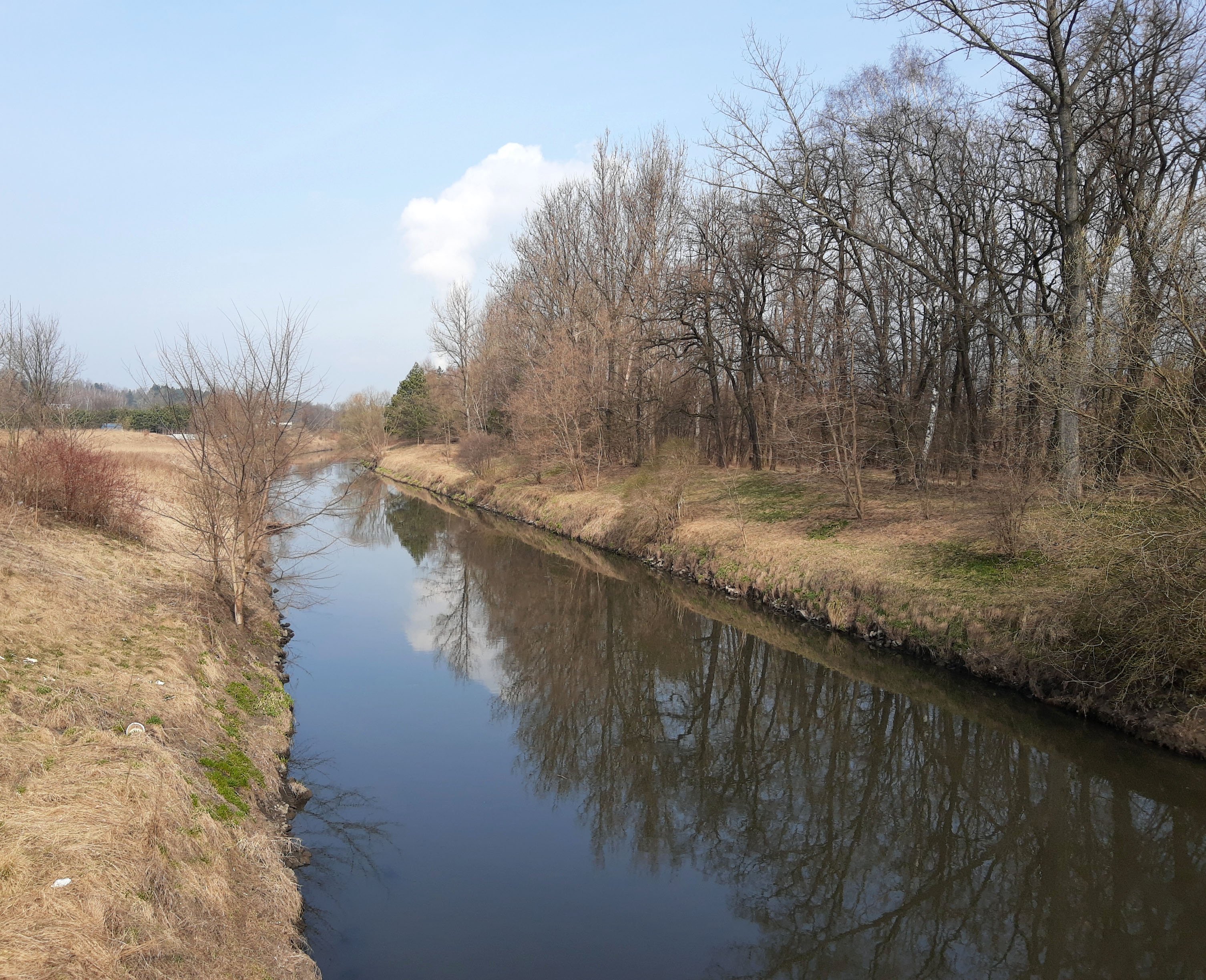 Przemsza