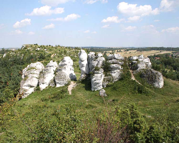Góry Towarne w Kusiętach