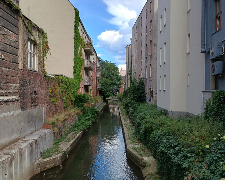 Rawa