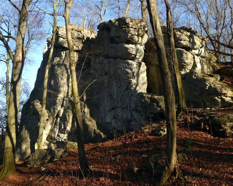 Rezerwat Zielona Góra