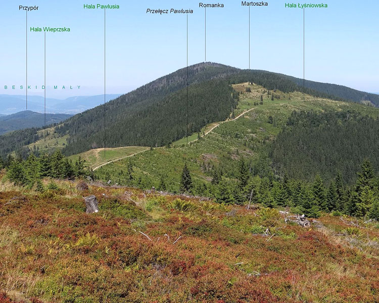 Beskid Żywiecki