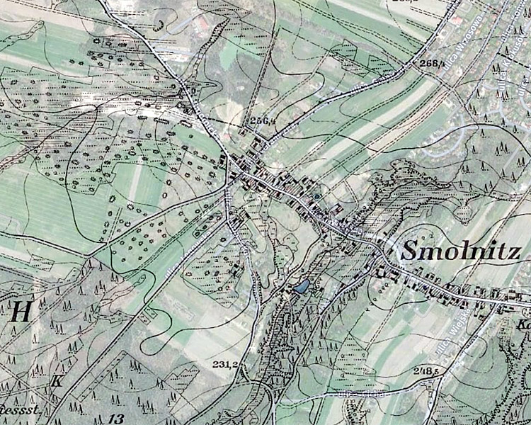 Smolnica