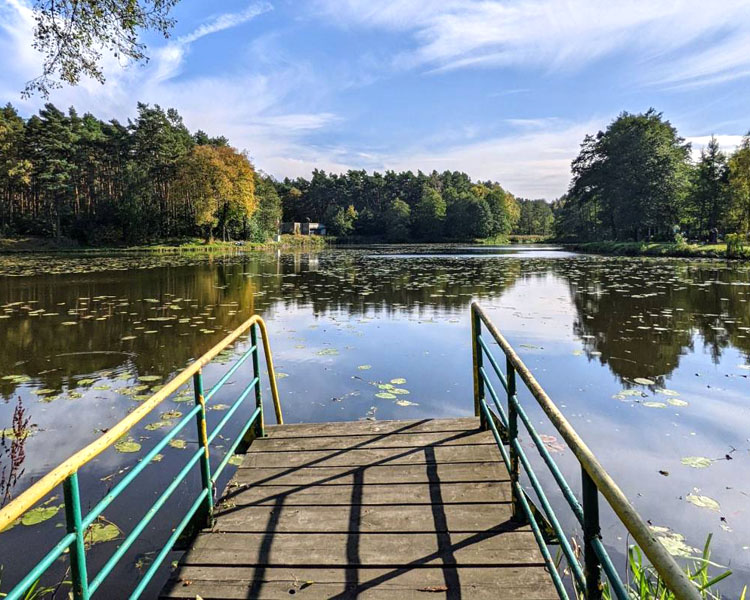 Piła