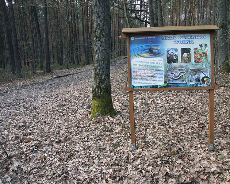 Rezerwat Szachownica
