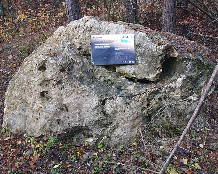 Rezerwat Szachownica