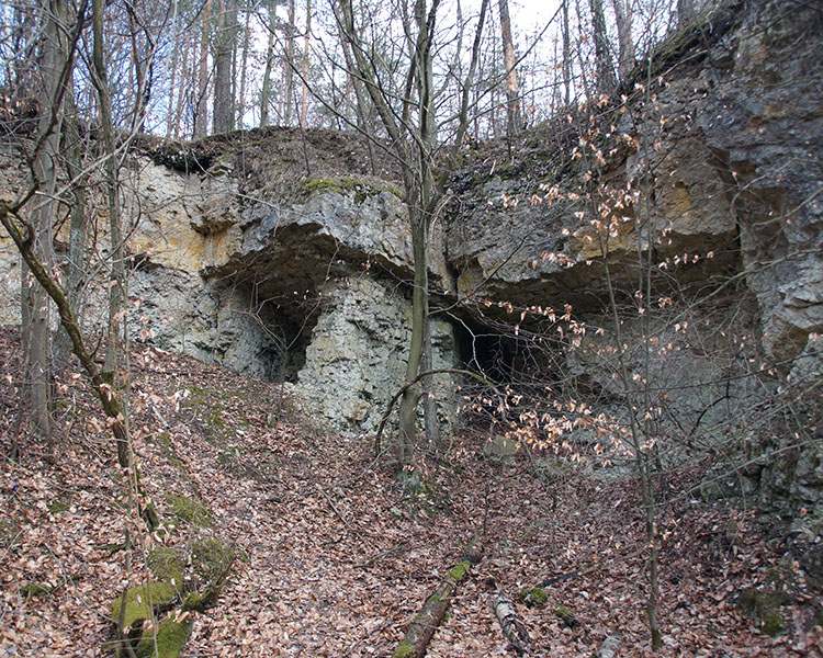 Rezerwat Szachownica