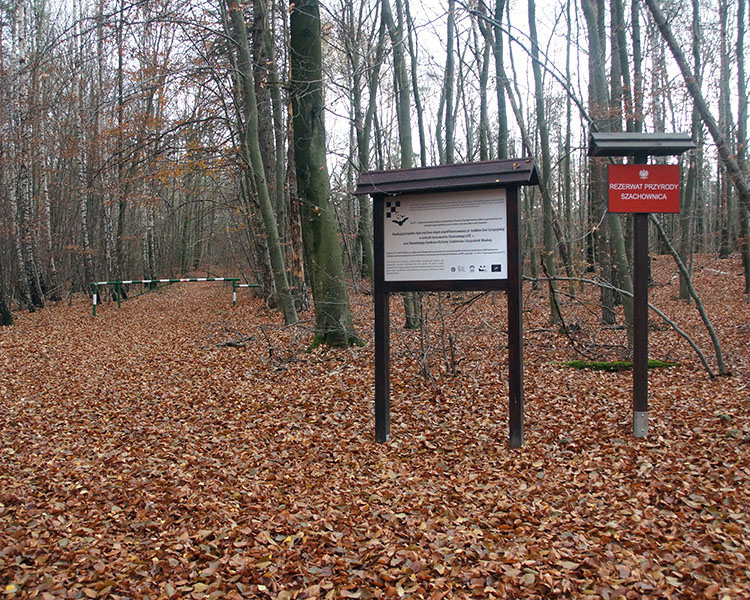 Rezerwat Szachownica