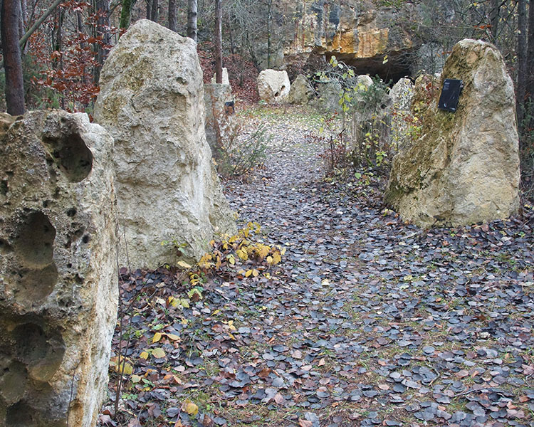 Rezerwat Szachownica