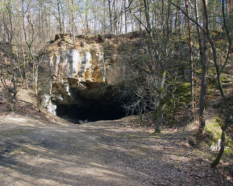 Rezerwat Szachownica