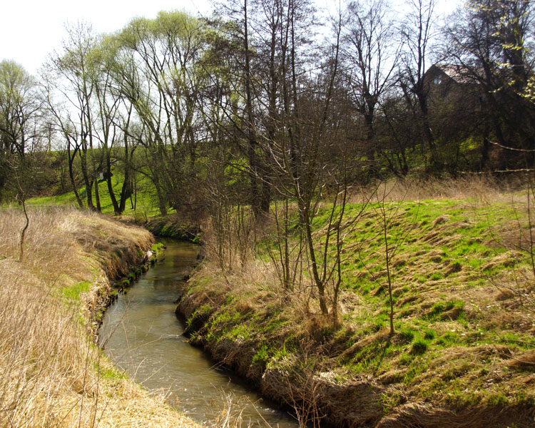 Troja