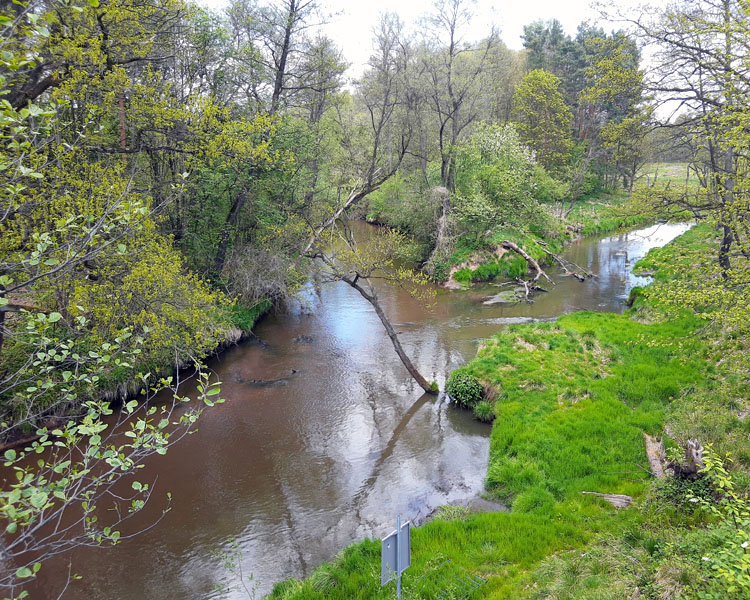 Ujście Stoły do Małej Panwi