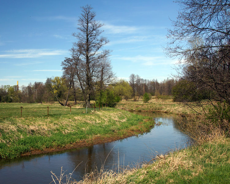 Warta