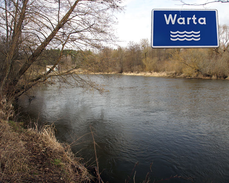 Warta