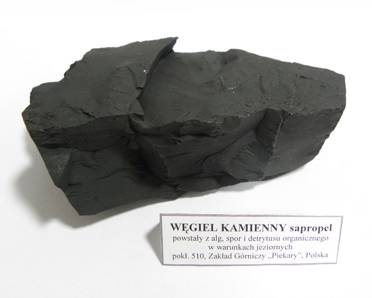Węgiel kamienny