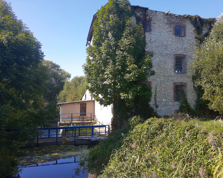 Wiercica