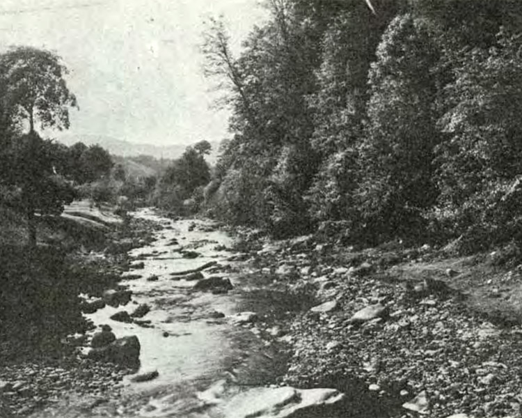 Malinka