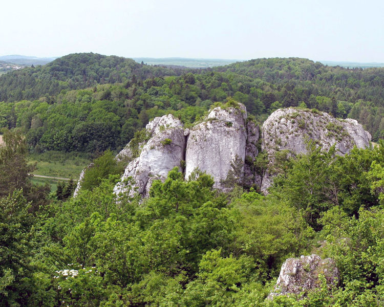 Dolina Wodąca w Smoleniu