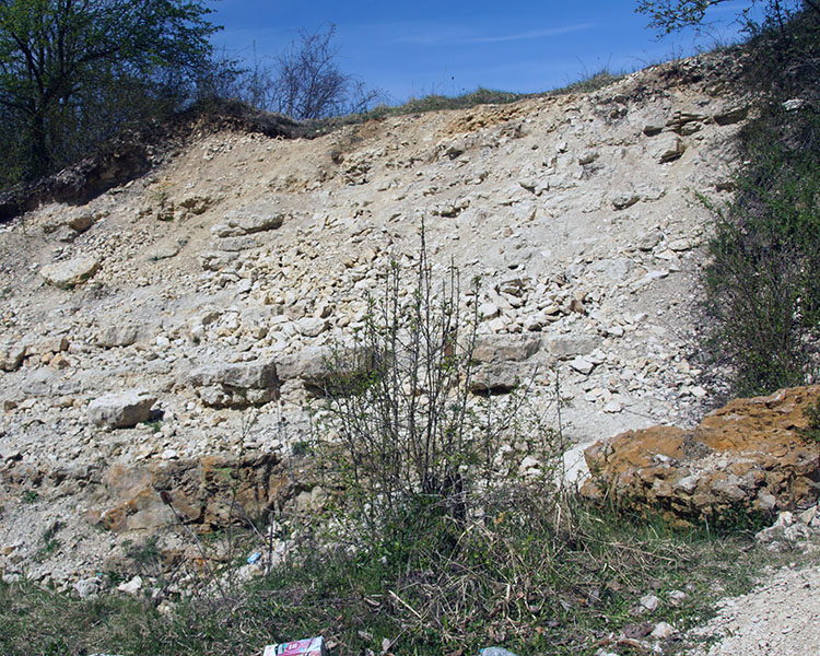 Cementownia Wrzosowa