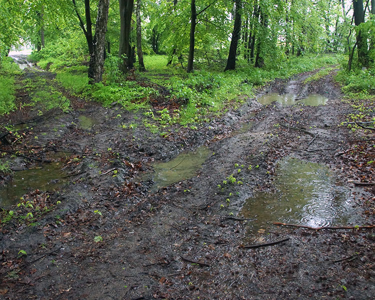 Koryczany, gm. Żarnowiec