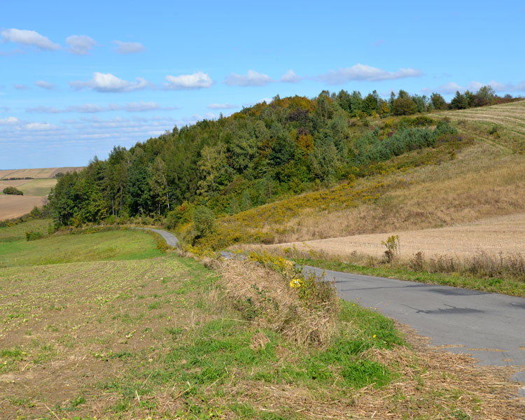 Skałka Wypaleniec w Smoleniu