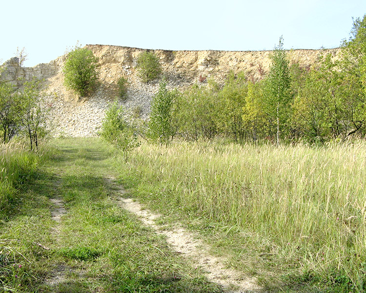 Cementownia Wysoka