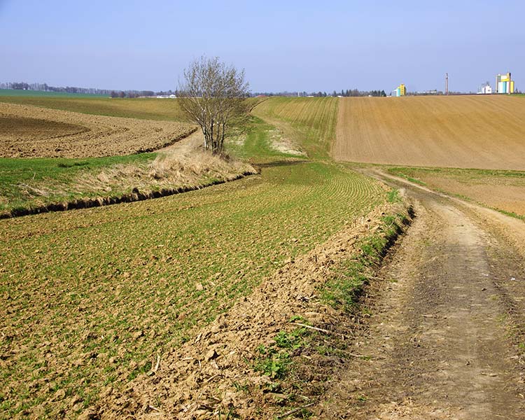 Gródczanki, gm. Pietrowice Wielkie