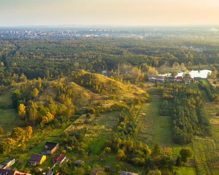 Częstochowski Obszar Rudonośny