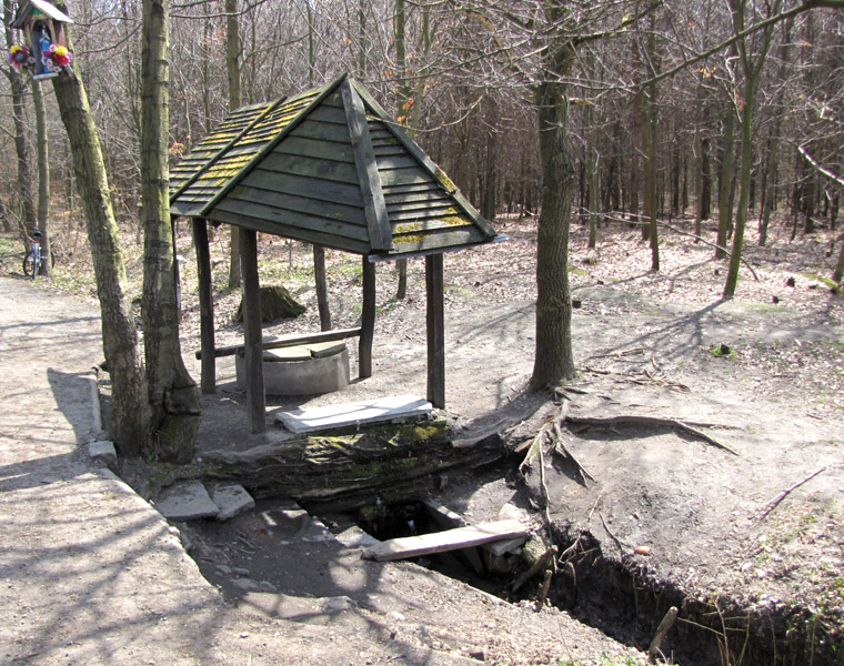 Wierzbnik
