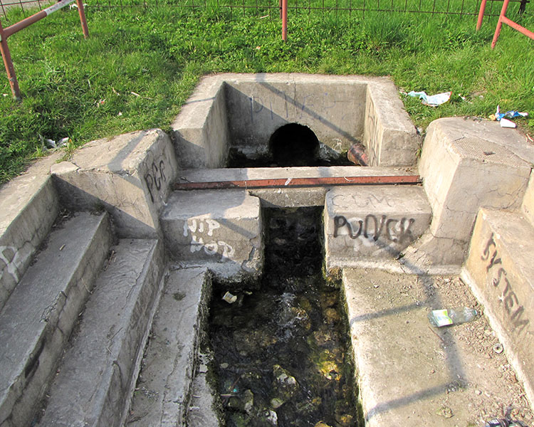 Źródło Warty